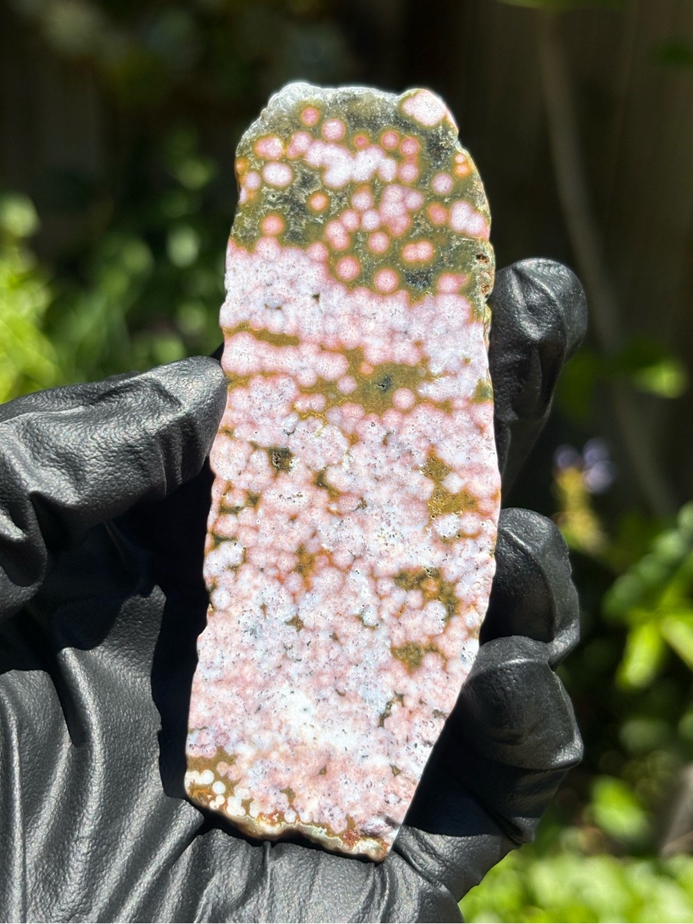 Ocean Jasper Crystal Slab - Polished Sea Jasper - Orbicular Jasper